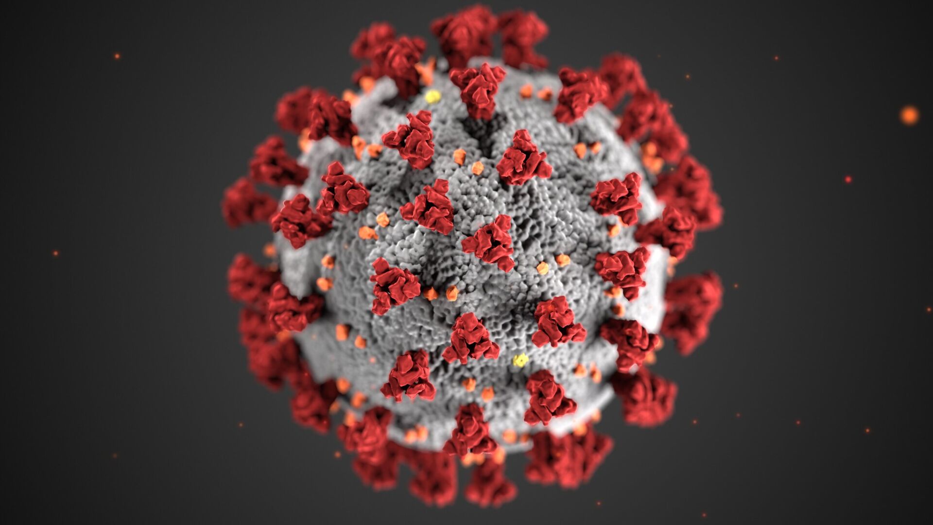 Coronavirus CDC
